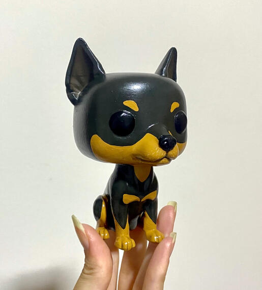 Pet personalizado