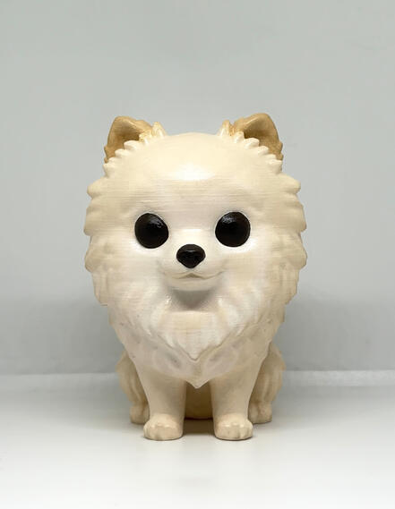 Pet personalizado