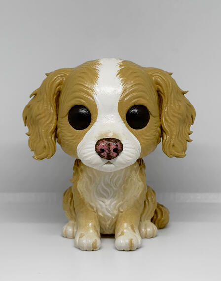 Pet personalizado