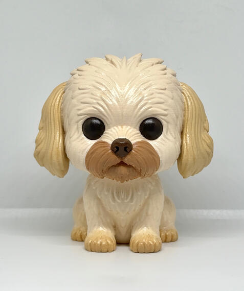 Pet personalizado